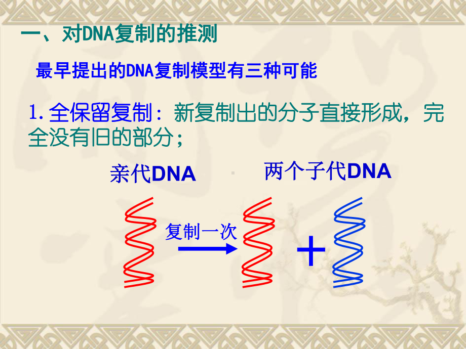 第3节 DNA的复制课件.pptx_第2页