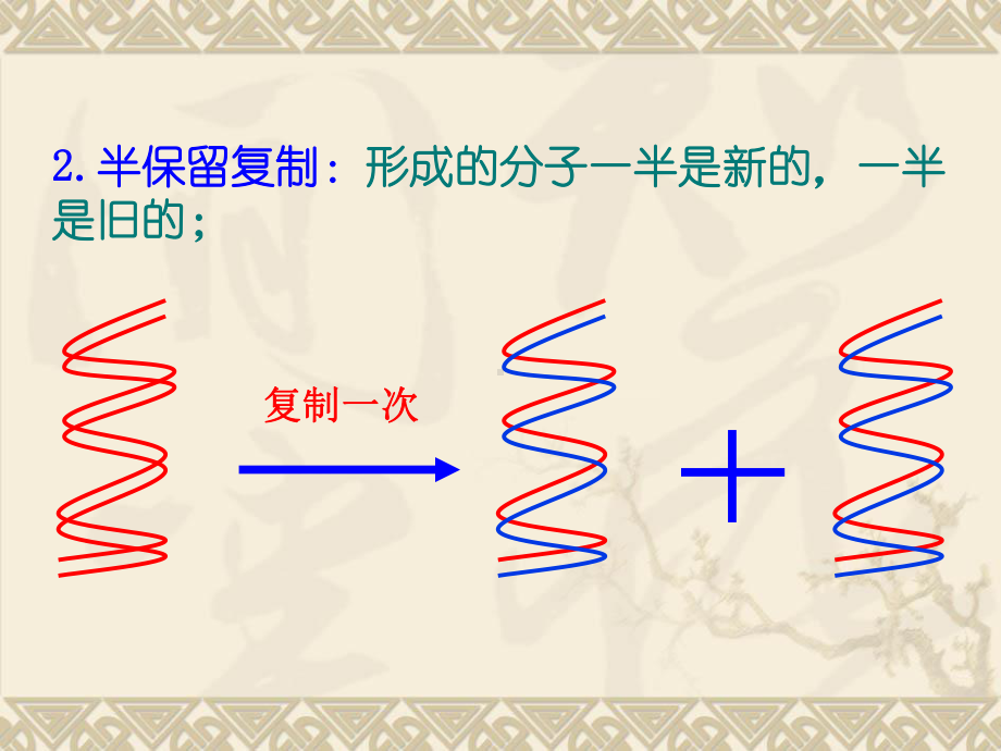 第3节 DNA的复制课件.pptx_第3页