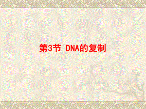 第3节 DNA的复制课件.pptx