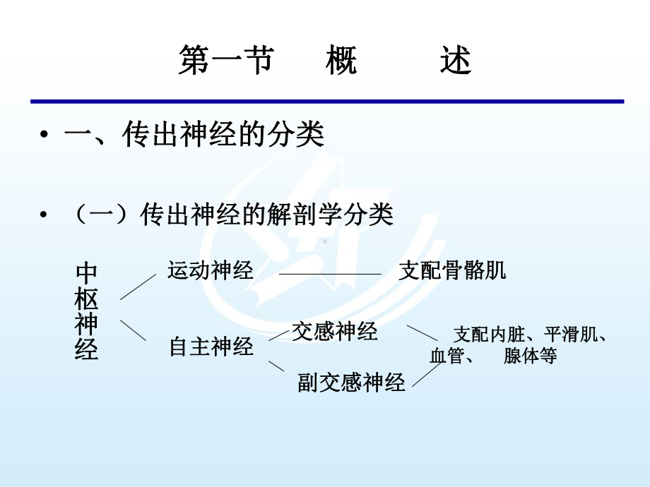 第五章传出神经系统药 药物学基础课件.ppt_第3页