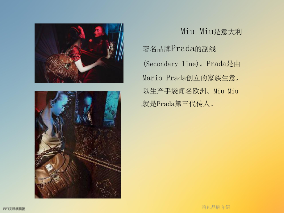 箱包品牌介绍课件.ppt_第2页