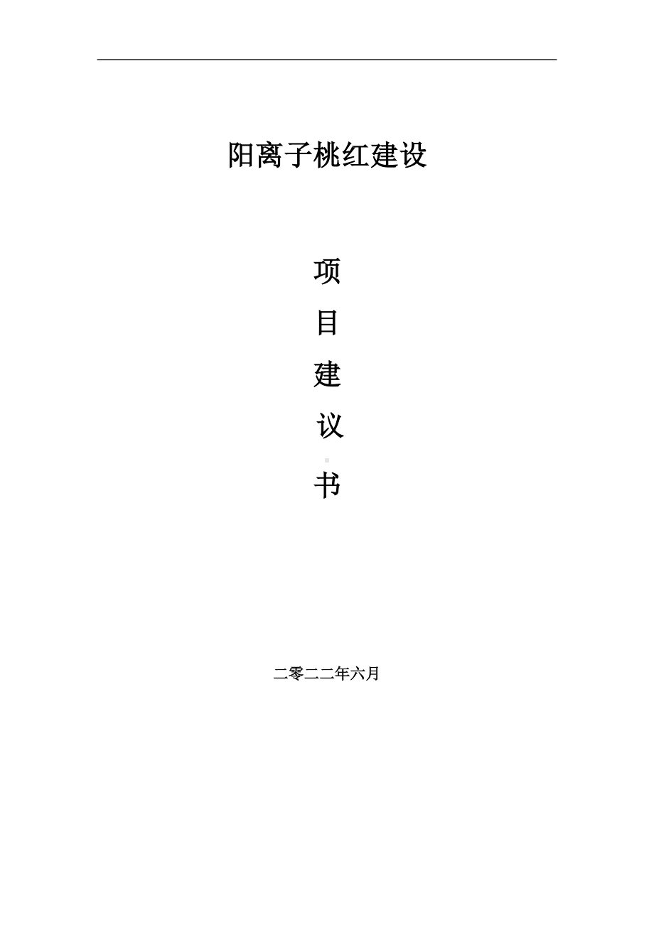 阳离子桃红项目建议书（写作模板）.doc_第1页