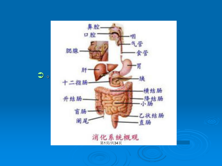 胃肠镜检查前后的护理教案课件.pptx_第2页