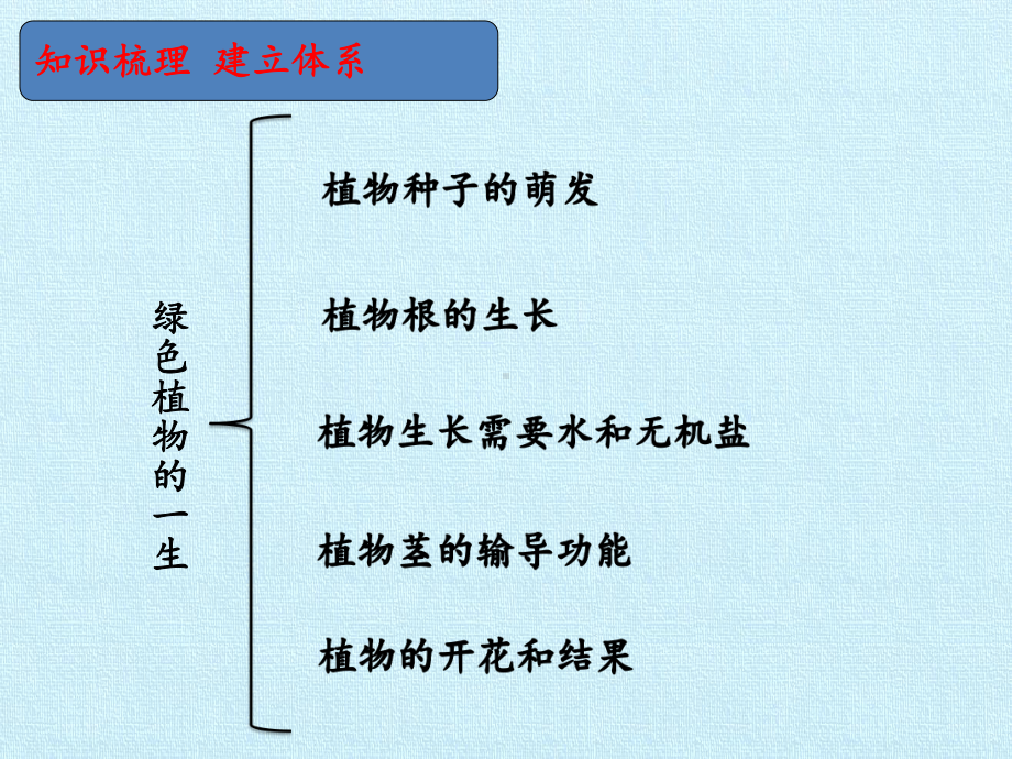 苏教版初中初一七年级上册生物：第五章 绿色植物的一生 复习课件.pptx_第2页