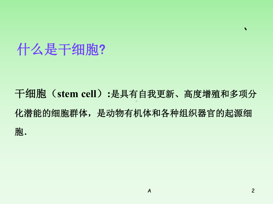 第六章 干细胞工程课件.ppt_第2页