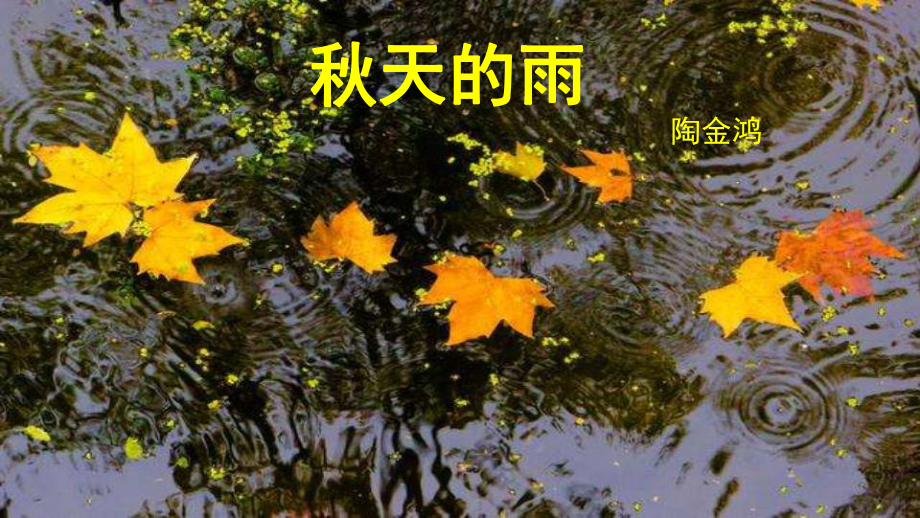 部编人教版三年级上册语文《秋天的雨》优质教学课件.pptx_第1页