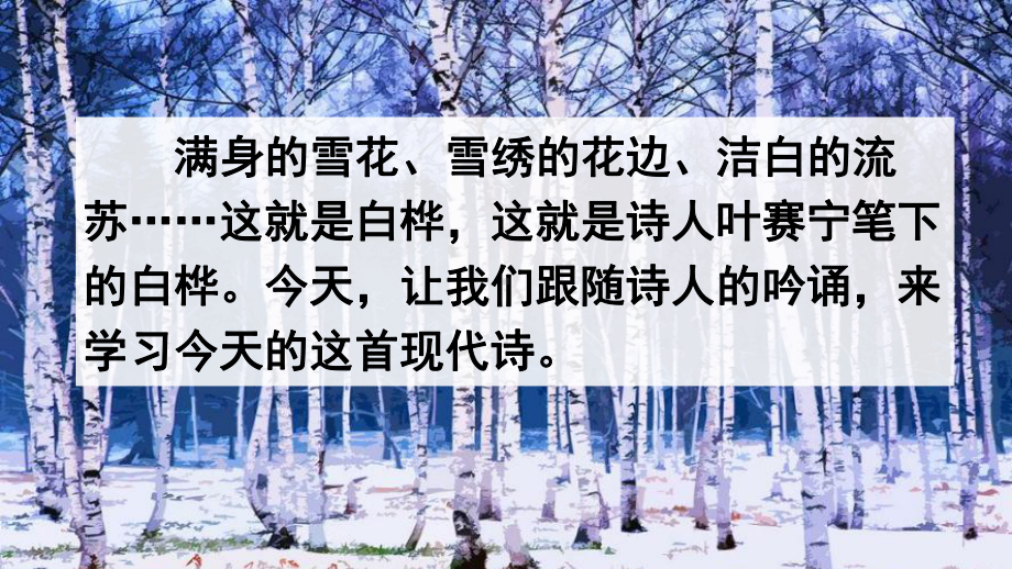 部编新人教版四年级语文下册11白桦教学课件.pptx_第1页