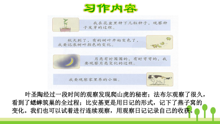 部编版四上《习作：写观察日记》完美课件1.ppt_第3页