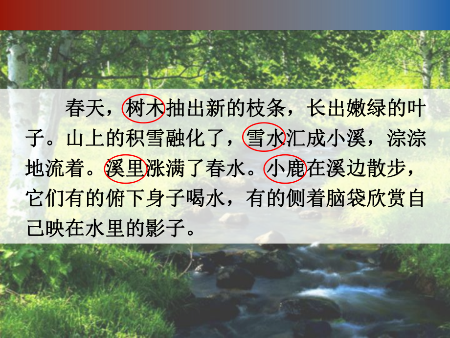 美丽的小兴安岭(二)教学课件.ppt_第1页