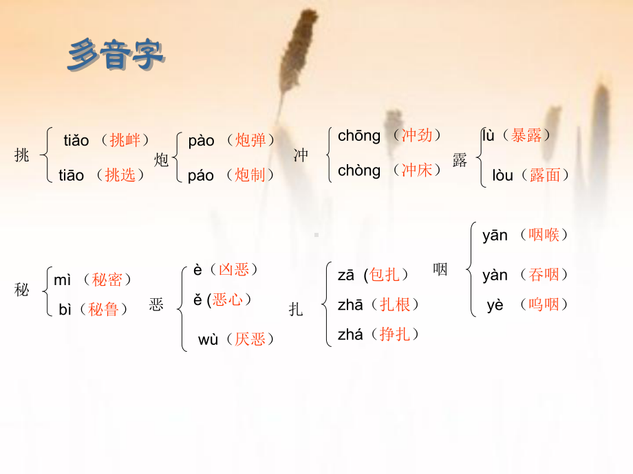 苏教版六年级语文下册第二单元复习课件.ppt_第3页