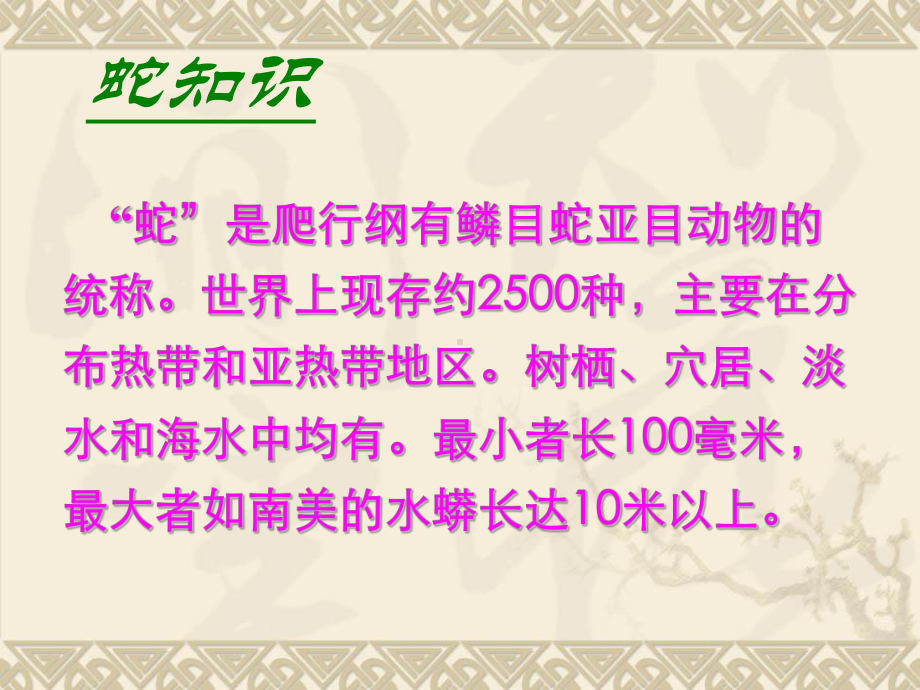 部编版八年级上册语文《捕蛇者说》PPt优质公开课件.ppt_第2页