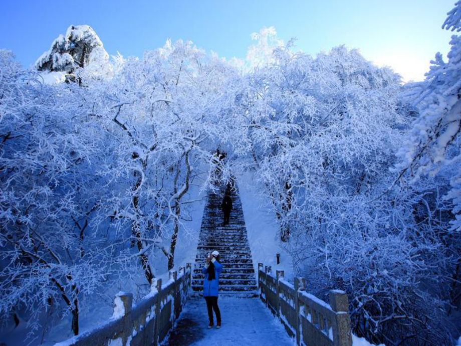 部编一年级上语文《2 雪地里的小画家》课件 一等奖新名师优质课获奖比赛公开北师大.pptx_第3页