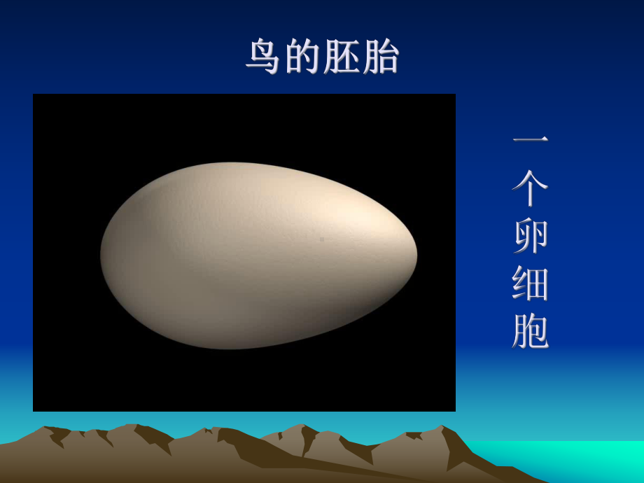 苏教版八下生物 215鸟类的生殖与发育课件.ppt_第3页