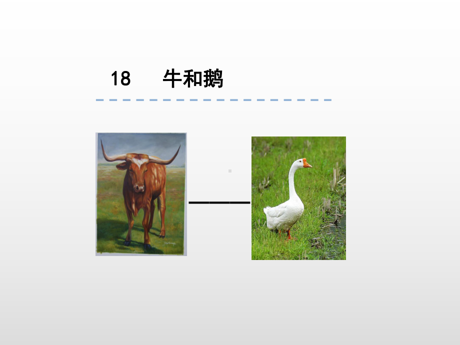 部编版牛和鹅完美版课件.ppt_第1页