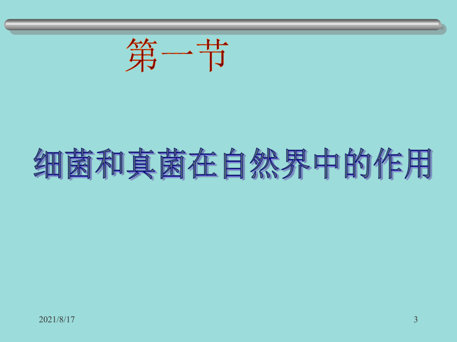 说出细菌和真菌在物质循环中的作用列举细菌和真菌课件.ppt_第3页