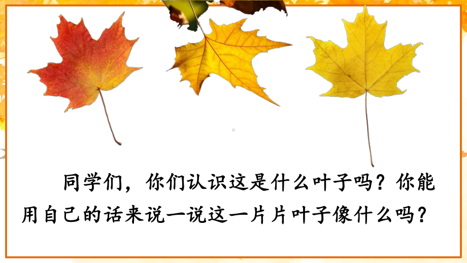 部编三年级语文上册 5 铺满金色巴掌的水泥道（附习题、视频）课件.ppt_第3页