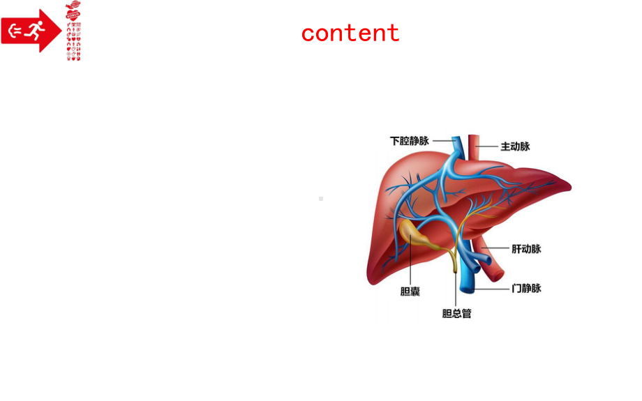 药物性肝损伤指南课件.ppt_第3页