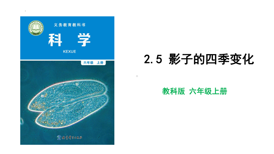 2.5 影子的四季变化（ppt课件）-2022新教科版六年级上册《科学》.pptx_第3页