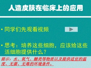 部编人教版七年级生物上册《细胞的生活》优秀教学课件3.pptx