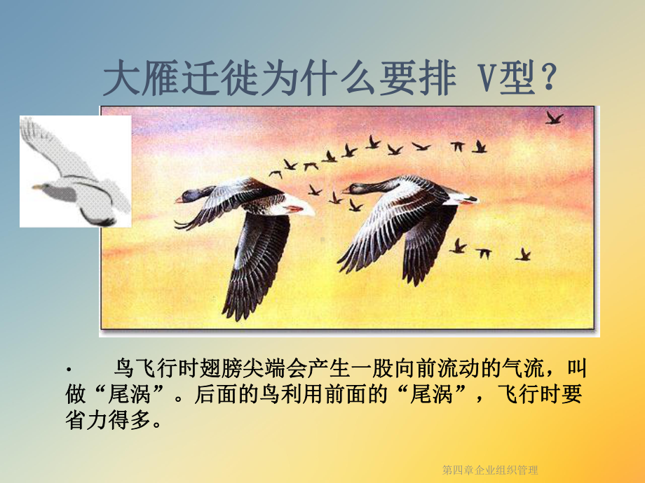 第四章企业组织管理课件.ppt_第3页