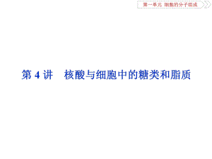 细胞的分子组成4 第4讲 核酸与细胞中的糖类和脂质(2021年生物高考复习)课件.ppt