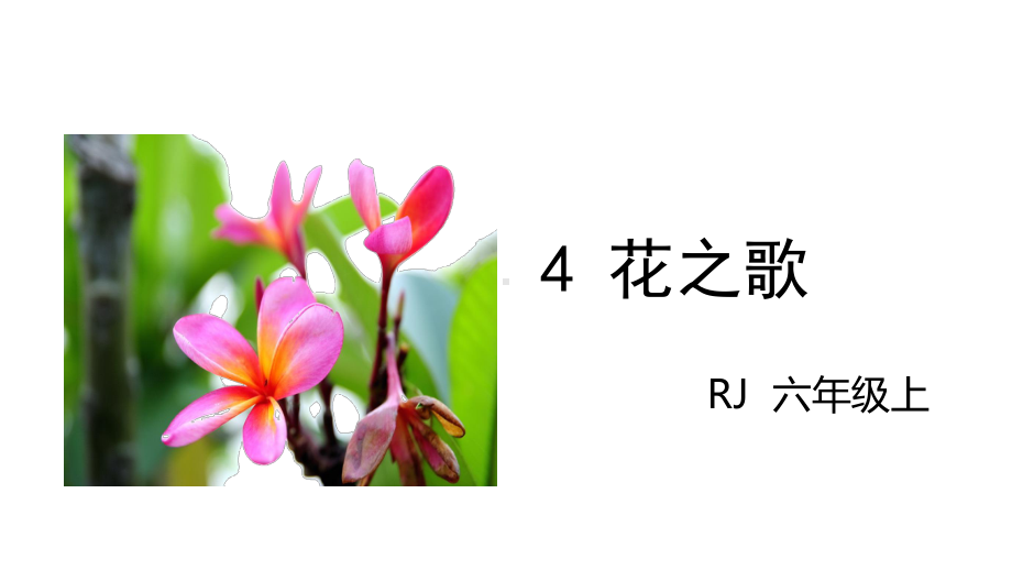 部编版教材《花之歌》公开课课件1.pptx_第2页