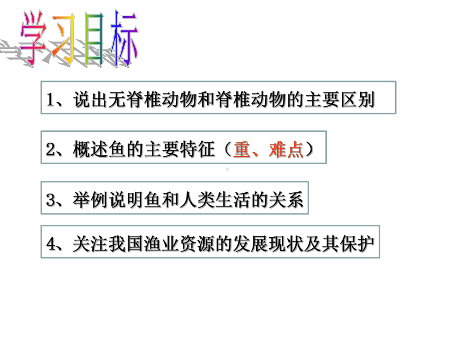 第4节 鱼教学课件课件.ppt_第3页