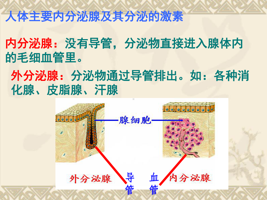 第4节动物生命活动的化学调节课件.ppt_第3页