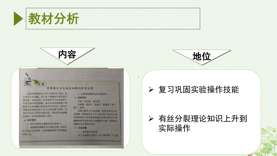 观察植物根尖有丝分裂实验说课课件.ppt_第3页