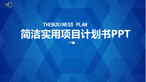 经典高端简洁实用项目计划书演示模板课件.pptx