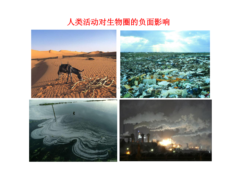 第14章人在生物圈中的义务课件(北师大版七年级下).ppt_第3页