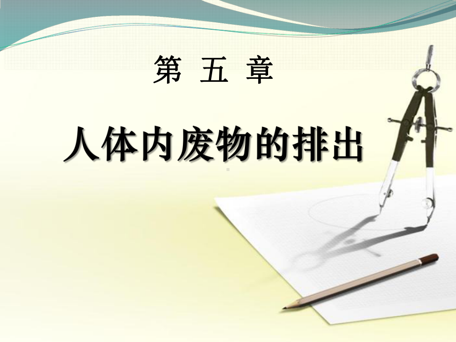 部编人教版七年级生物下册《人体内废物的排出》优秀教学课件-002.pptx_第1页