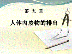 部编人教版七年级生物下册《人体内废物的排出》优秀教学课件-002.pptx