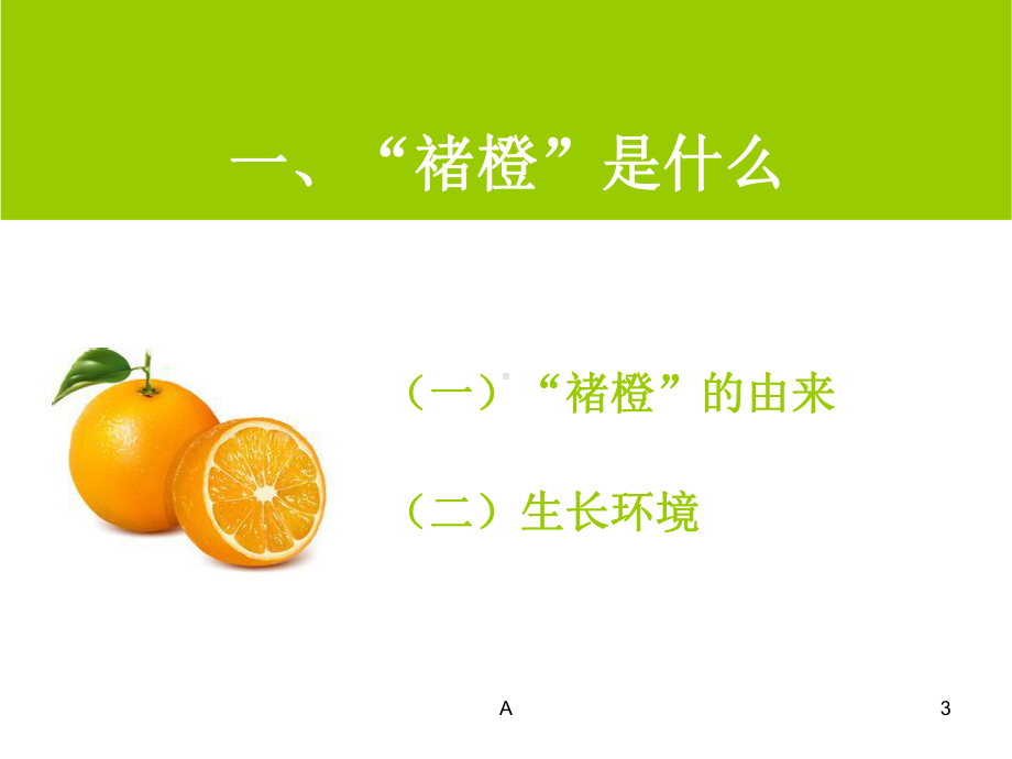 营销案例分析：褚橙课件.ppt_第3页