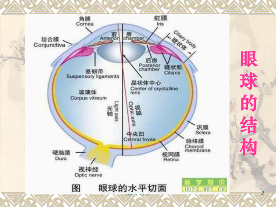 眼屈光基础知识课件.ppt_第2页