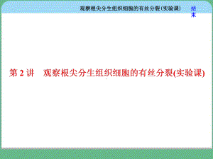 观察根尖分生组织细胞的有丝分裂(实验课)课件.ppt