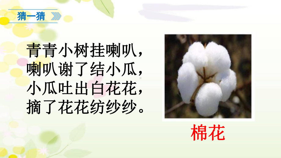 部编版棉花姑娘优秀课件.pptx_第2页