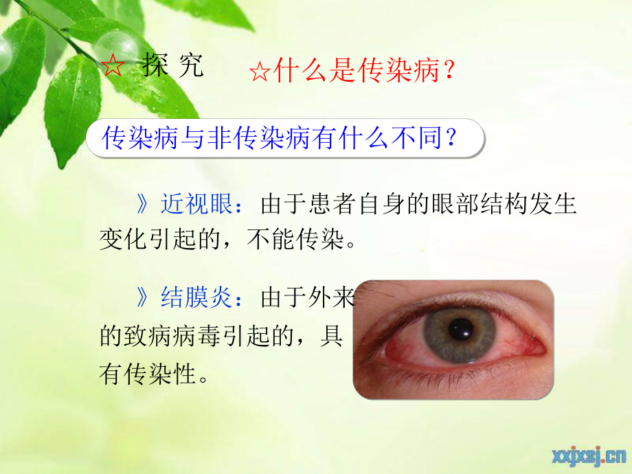 第一节传染病及其预防(42)课件.ppt_第3页