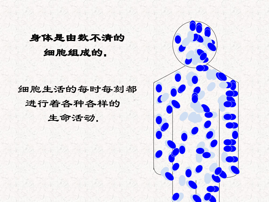 部编人教版七年级生物上册 细胞的生活课件.ppt_第1页