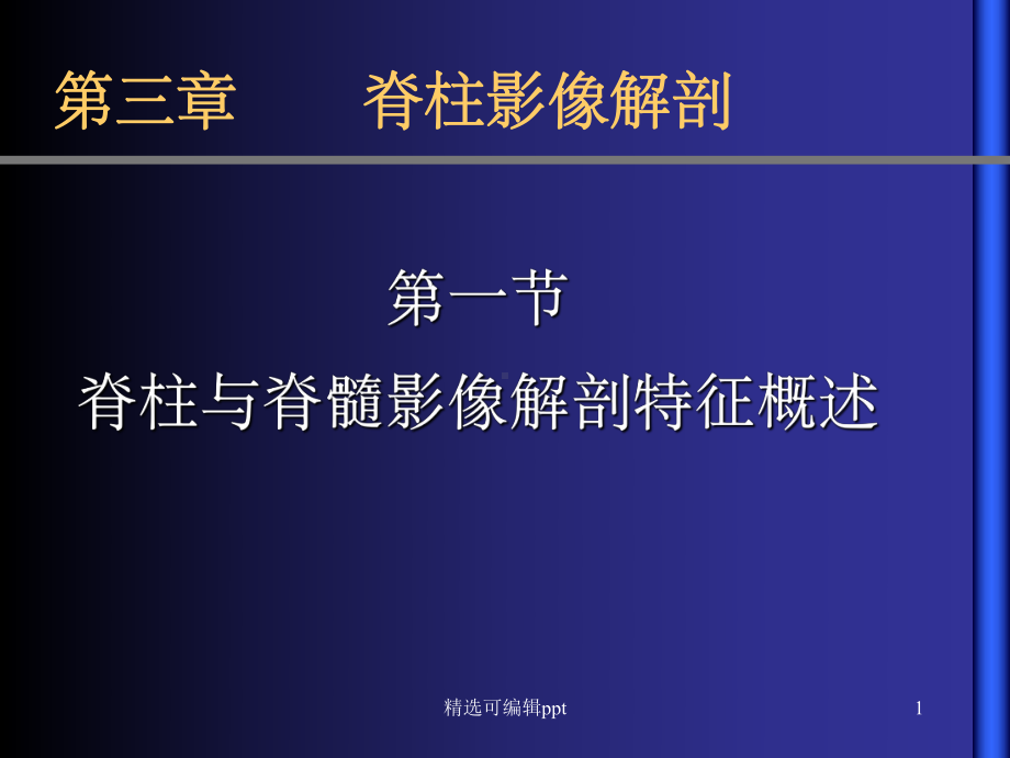 脊柱影像解剖课件.ppt_第1页