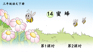 部编三年级语文下册14 蜜蜂课件.ppt