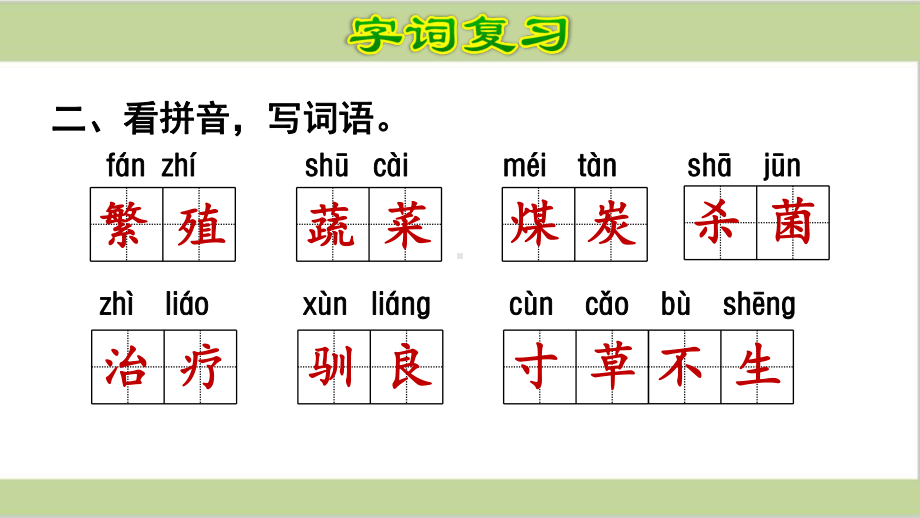 部编人教版五年级上册小学语文第五单元复习课件.ppt_第3页