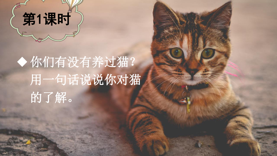 部编版四年级语文下册《13 猫》（教案匹配版）推荐.ppt_第3页