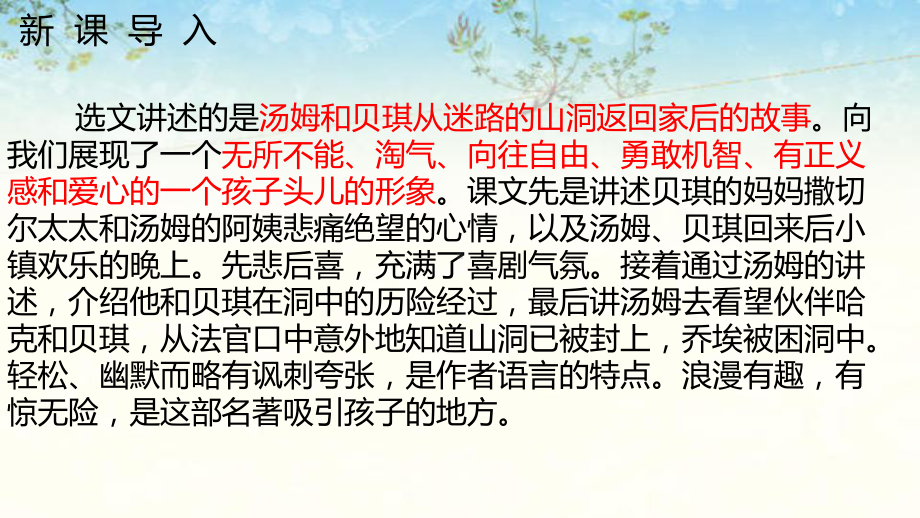 部编版六年级下册课件 汤姆·索亚历险记(节选).pptx_第2页