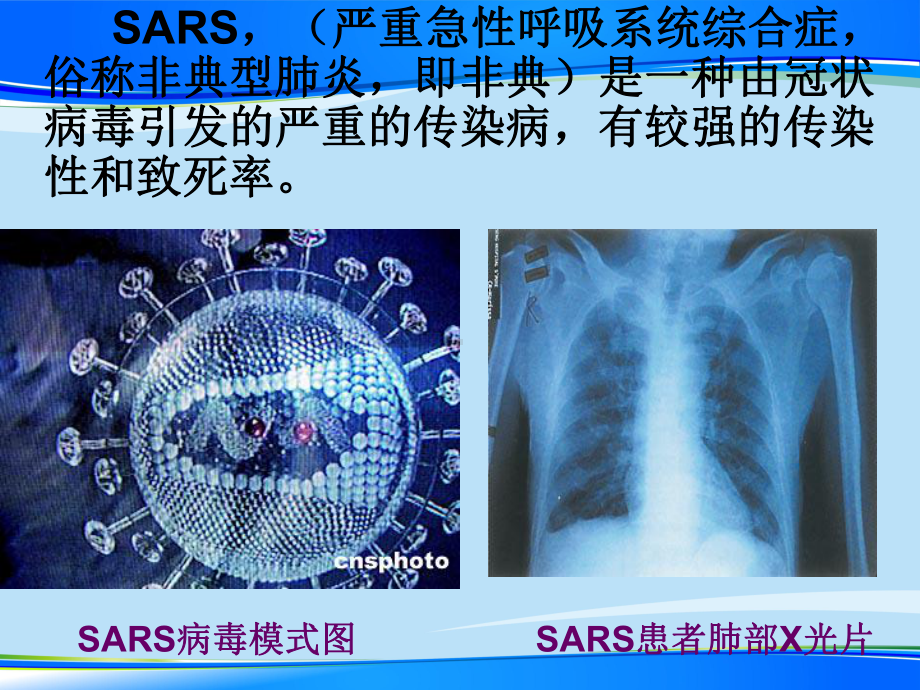 高中生物必修一从生物圈到细胞（推荐课件）.ppt_第3页