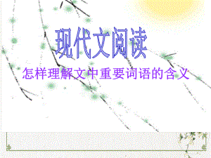 高考一轮复习《现代文阅读 怎样理解文中重要词语的含义》课件.pptx