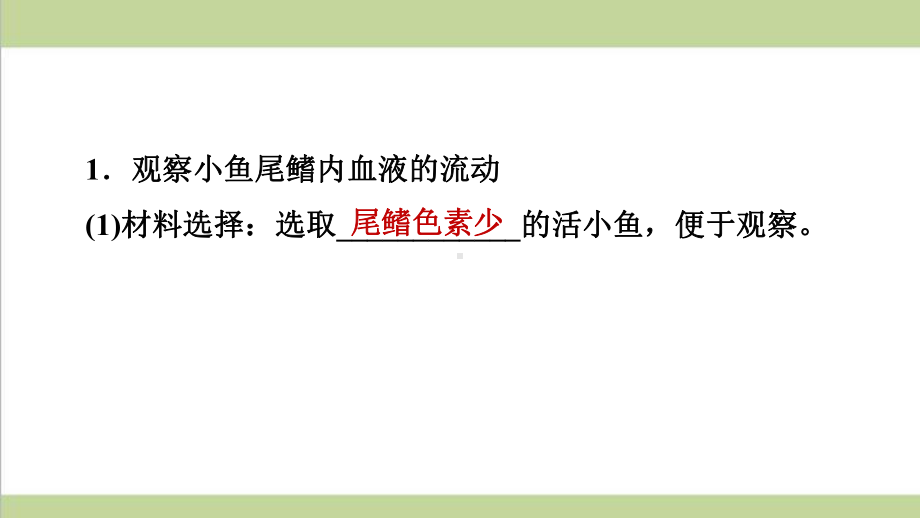 鲁科版五四制七年级上册生物 42 物质运输的管道 重点习题练习复习课件.ppt_第2页