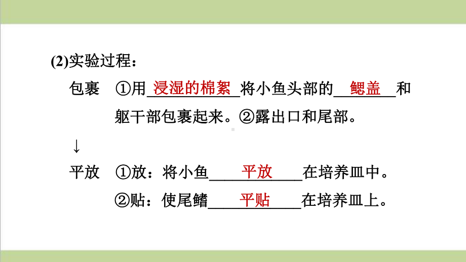 鲁科版五四制七年级上册生物 42 物质运输的管道 重点习题练习复习课件.ppt_第3页