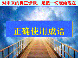 高考一轮复习《正确使用成语》课件.ppt