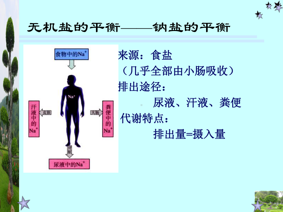 高中生物—水盐平衡和调节课件.ppt_第3页